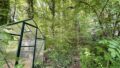 Privater Wald