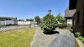 Vorgarten und Zuwegung