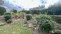 Blick auf kleinen Garten